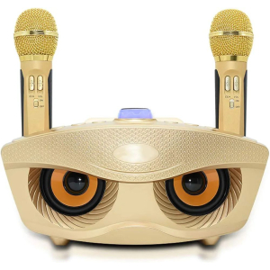 Rechargeable Bluetooth Speaker And Microphone