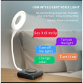Voice commands usb light. 